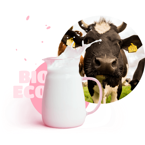 happy cow